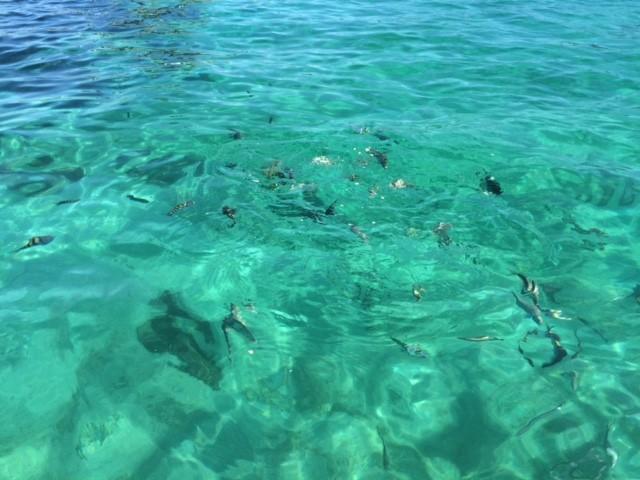 Pousada Pier 7400 Monsuaba المظهر الخارجي الصورة